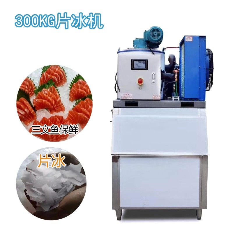 冰友片冰机日产300公斤片冰制冰机鱼麟片冰机商用片冰生产设备