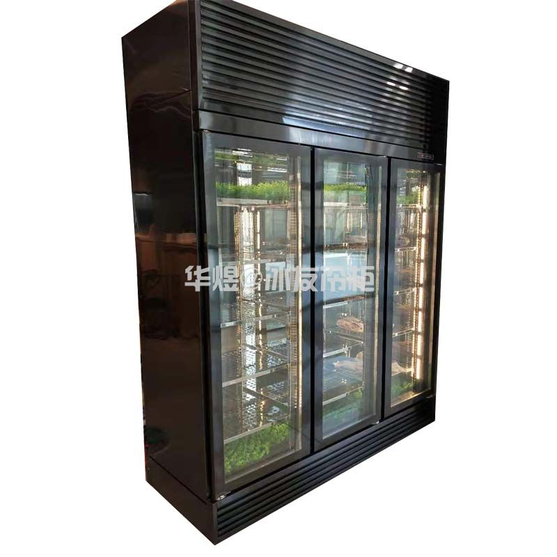 两面玻璃牛肉展示柜牛肉冷藏保鲜冷柜冰箱