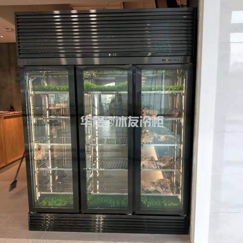 两面玻璃牛肉展示柜牛肉冷藏保鲜冷柜冰箱