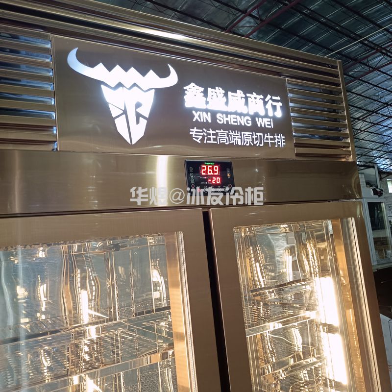 冰友牌高身双门低温牛肉展示柜牛肉冷冻柜玻璃门低温冷冻柜