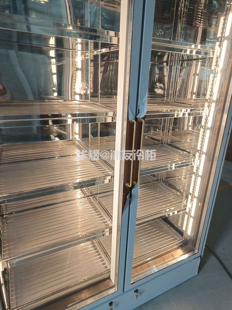 双门干式熟成柜牛排牛扒排酸熟成冷柜