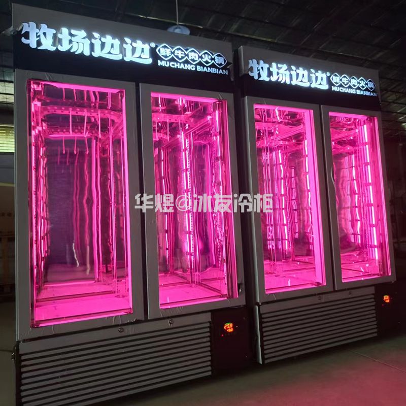 双门高身微冻展示柜牛羊挂肉柜直冷牛肉冷藏展示柜