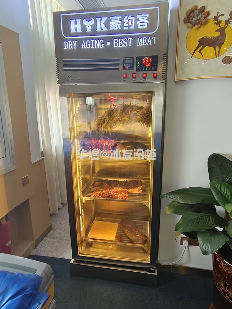 单门干式熟成柜恒温恒湿牛肉柜干式牛扒柜牛肉展示冷藏柜