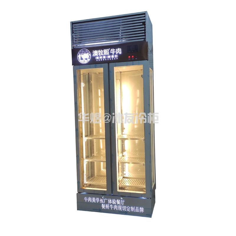干式熟成柜高端低温牛排熟成排酸柜西餐厅牛扒牛排牛肉柜
