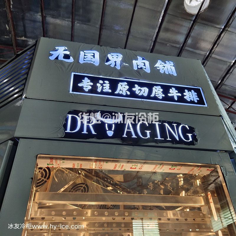 DRYAGING定制钻石款式多面形高身和牛冷柜干式熟成柜