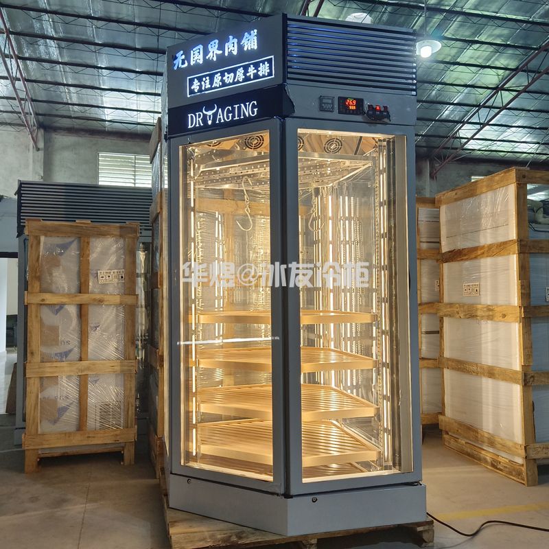 DRYAGING定制钻石款式多面形高身和牛冷柜干式熟成柜