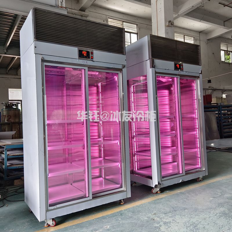 双门挂肉柜鲜肉排酸展示冷柜牛肉排酸柜鲜肉柜和牛冷柜牛肉柜