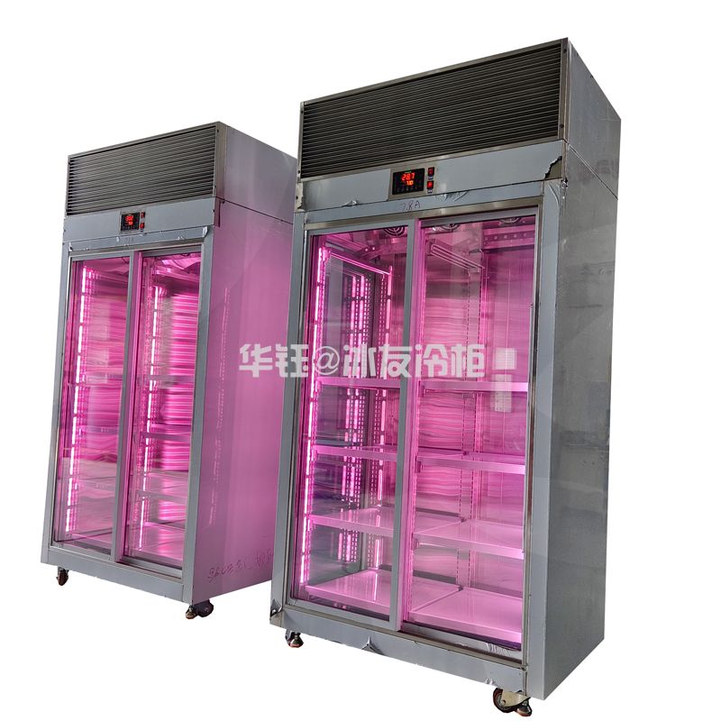 双门挂肉柜鲜肉排酸展示冷柜牛肉排酸柜鲜肉柜和牛冷柜牛肉柜