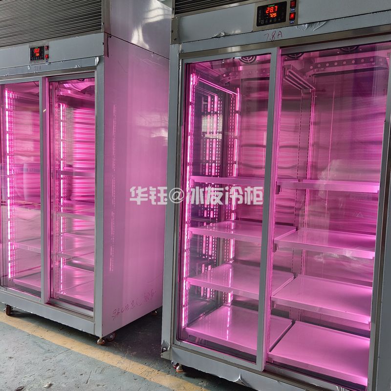 双门挂肉柜鲜肉排酸展示冷柜牛肉排酸柜鲜肉柜和牛冷柜牛肉柜