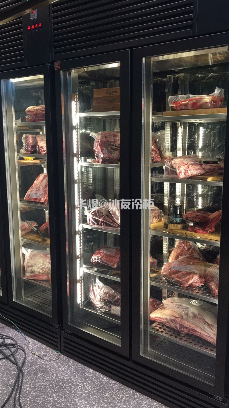 高档古铜色双门牛肉排酸成柜柜干式熟成牛排柜熟成牛肉展示柜(图6)