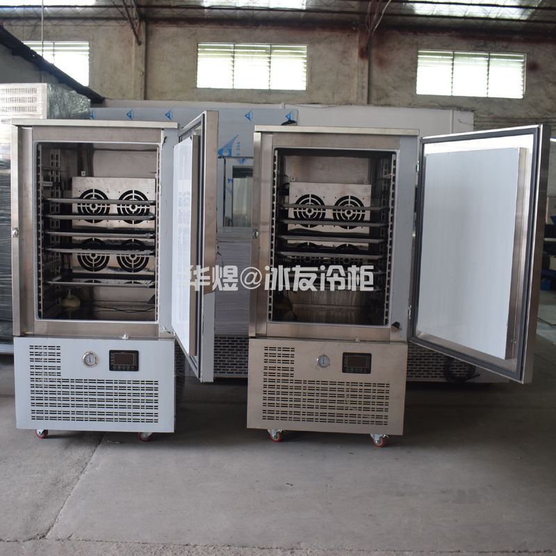 冰友常规款8盘速冻柜海鲜食品果蔬速冻柜(图8) 冰友常规款8盘速冻柜海鲜食品果蔬速冻柜(图8)