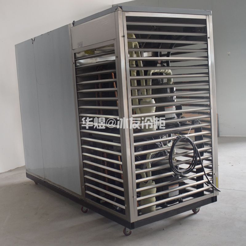 冰友定制款双门速冻柜食品海鲜果蔬急速冻冷冻柜速冻机(图10) 冰友定制款双门速冻柜食品海鲜果蔬急速冻冷冻柜速冻机(图9)