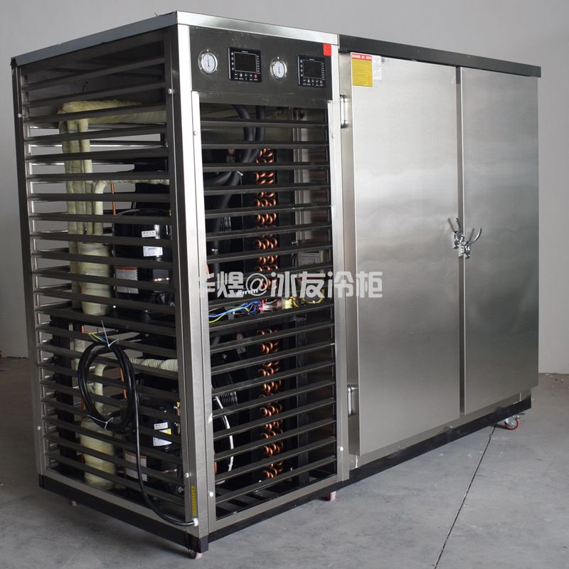 冰友定制款双门速冻柜食品海鲜果蔬急速冻冷冻柜速冻机(图9) 冰友定制款双门速冻柜食品海鲜果蔬急速冻冷冻柜速冻机(图8)