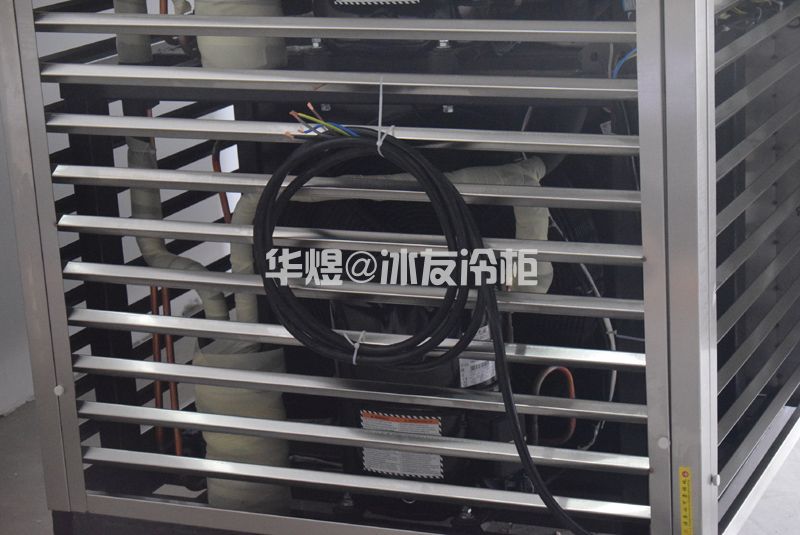 冰友定制款双门速冻柜食品海鲜果蔬急速冻冷冻柜速冻机(图12) 冰友定制款双门速冻柜食品海鲜果蔬急速冻冷冻柜速冻机(图12)