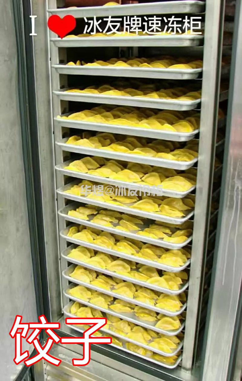冰友定制款32盘速冻柜推车式超低温速冻柜速冻机(图16) 冰友定制款32盘速冻柜推车式超低温速冻柜速冻机(图16)