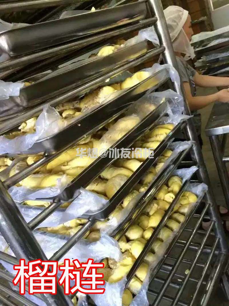 冰友单门常规款10盘速冻柜饺子包子馒头水饺速冻柜(图13) 冰友单门常规款10盘速冻柜饺子包子馒头水饺速冻柜(图13)