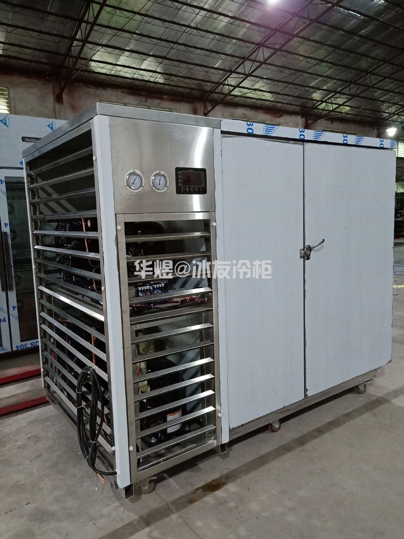 冰友定制款单门22盘速冻柜商用风冷食品速冻冷冻柜急冻冰箱(图9)