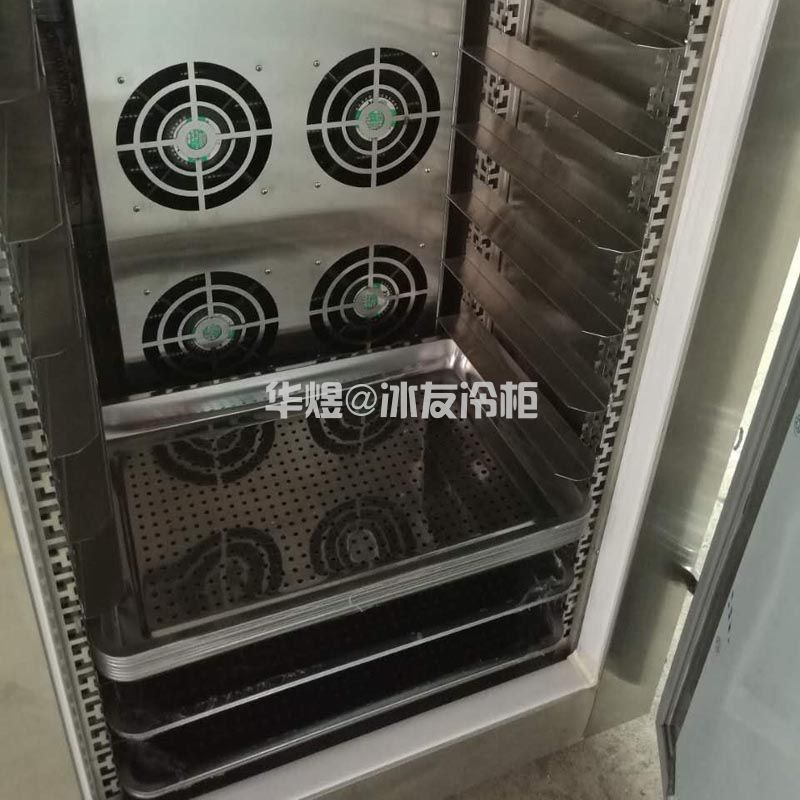 冰友常规款双门22盘速冻柜风冷插盘式-40度低温速冻柜冷柜商用速冻机(图14) 冰友常规款双门22盘速冻柜风冷插盘式-40度低温速冻柜冷柜商用速冻机(图14)