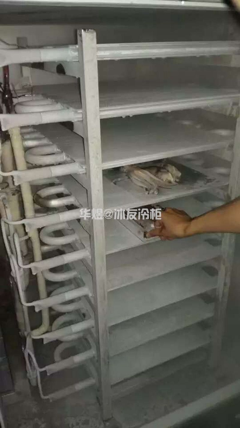 冰友平板速冻柜铝合金平板冻结机低温海鲜速冻冰柜冷柜(图12) 冰友平板速冻柜铝合金平板冻结机低温海鲜速冻冰柜冷柜(图12)