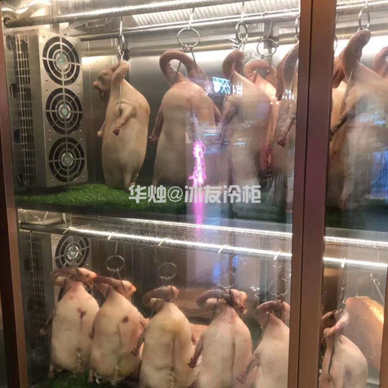 冰友黑拉丝两面通透款双门智能烤鸭晾胚柜烧鹅乳鸽乳猪烧腊风干冷柜(图6)