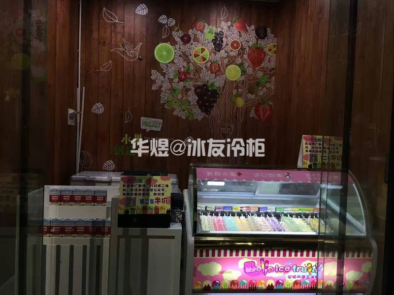 侧板款冰棍展示柜雪条冰棒冷冻冰柜雪糕冷柜(图13) 侧板款冰棍展示柜雪条冰棒冷冻冰柜雪糕冷柜(图13)
