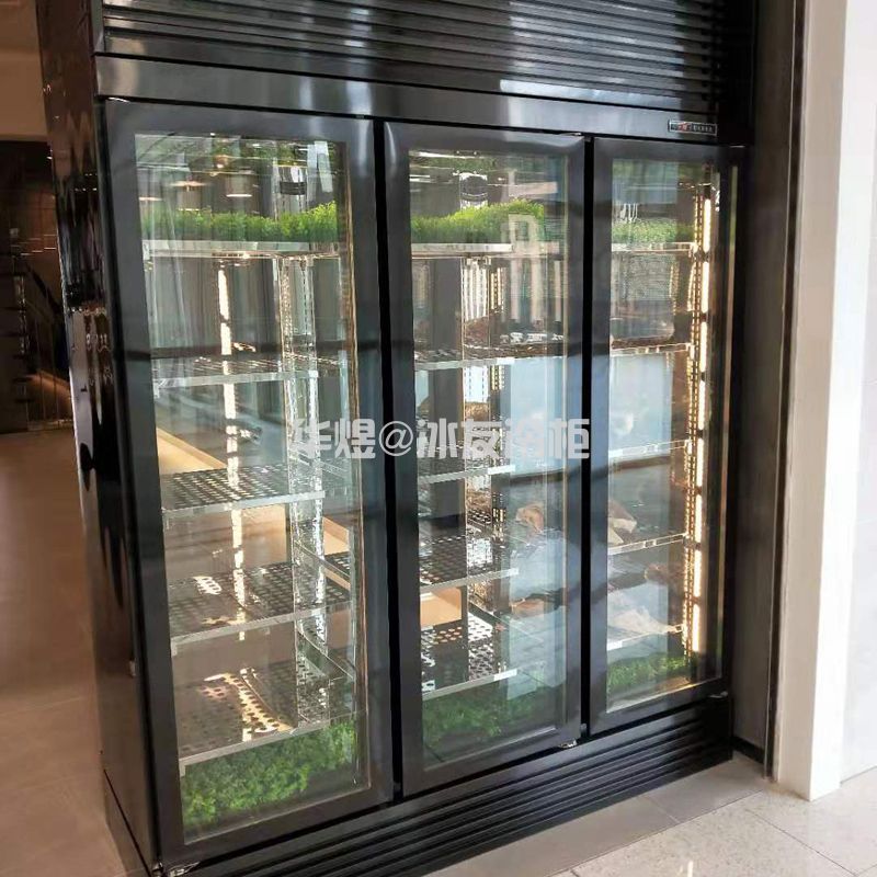两面玻璃牛肉展示柜牛肉冷藏保鲜冷柜冰箱(图4) 两面玻璃牛肉展示柜牛肉冷藏保鲜冷柜冰箱(图4)
