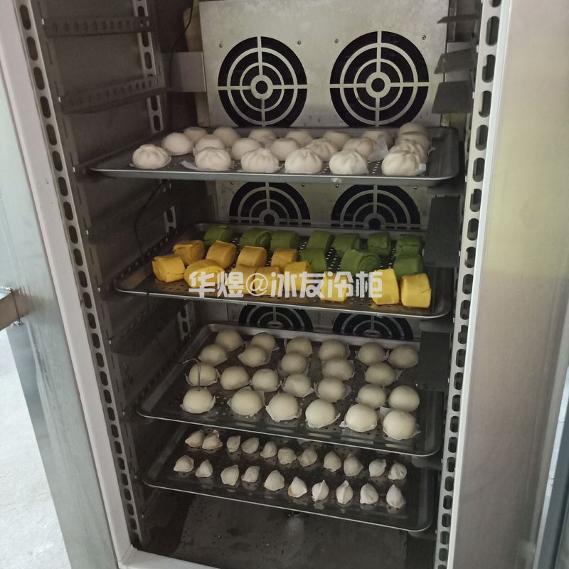 冰友单门加强款插盘式11盘速冻柜速冻机包子饺子速冻柜(图13) 冰友单门加强款插盘式11盘速冻柜速冻机包子饺子速冻柜(图13)