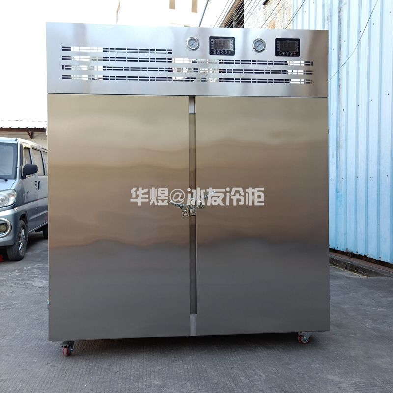 冰友常规款双门22盘速冻柜风冷插盘式-40度低温速冻柜冷柜商用速冻机(图8) 冰友常规款双门22盘速冻柜风冷插盘式-40度低温速冻柜冷柜商用速冻机(图8)