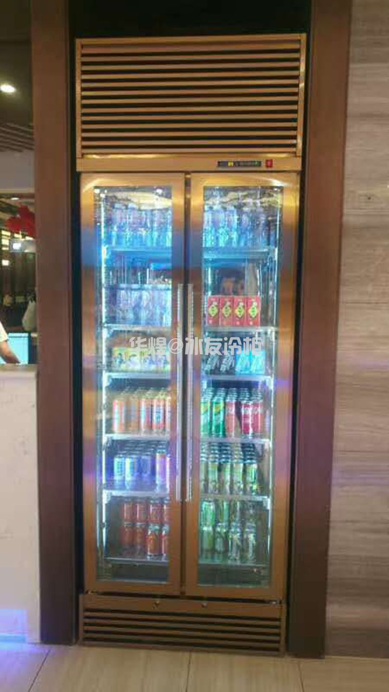定制高身酒柜饮料啤酒冷藏展示柜酒水展示冷柜(图7)