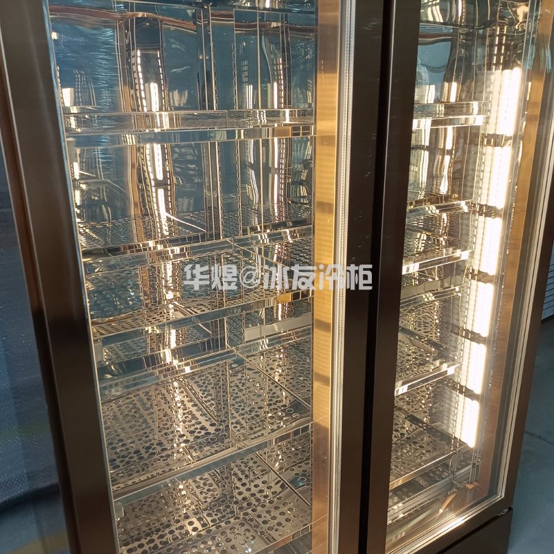 冰友牌高身双门低温牛肉展示柜牛肉冷冻柜玻璃门低温冷冻柜(图5)