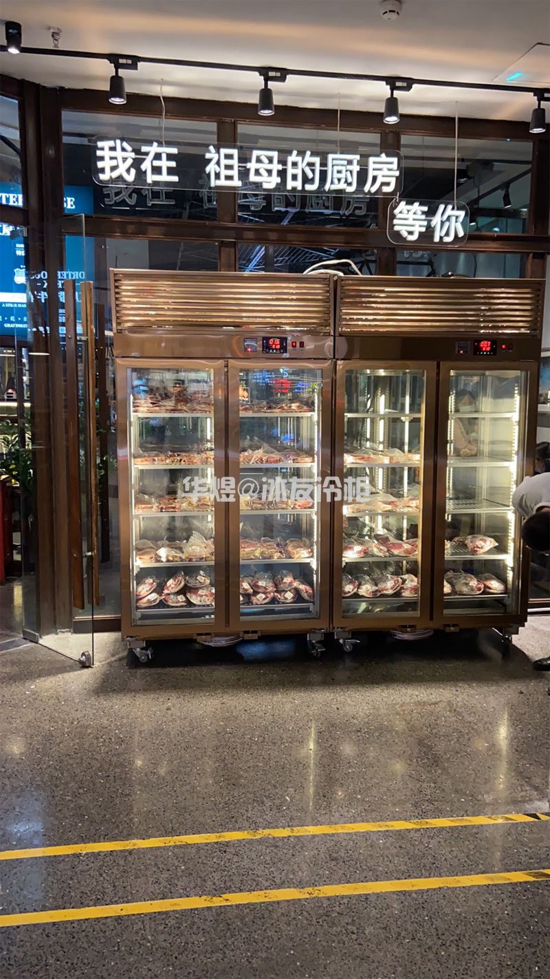 冰友双门双通牛肉排酸柜湿式熟成柜西餐厅牛排冷藏柜广州牛肉熟成冷柜厂家(图5) 冰友双门双通牛肉排酸柜湿式熟成柜西餐厅牛排冷藏柜广州牛肉熟成冷柜厂家(图5)