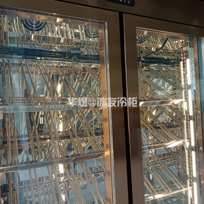 双门玫瑰金红酒柜酒水展示冷柜高身酒柜(图4)