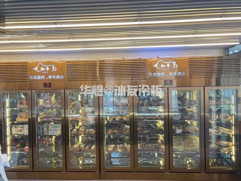 四门低温牛肉冷冻柜日式烤肉和牛肉业牛肉冷冻展示冷柜(图4)
