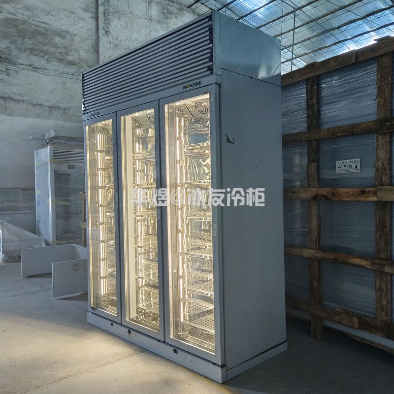 高身三门双温低温和牛展示冷柜玻璃门低温展示柜牛肉冷冻柜(图3) 高身三门双温低温和牛展示冷柜玻璃门低温展示柜牛肉冷冻柜(图3)