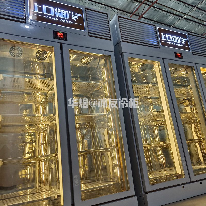 牛肉冷冻柜低温和牛展示柜牛肉柜生产厂家(图7)